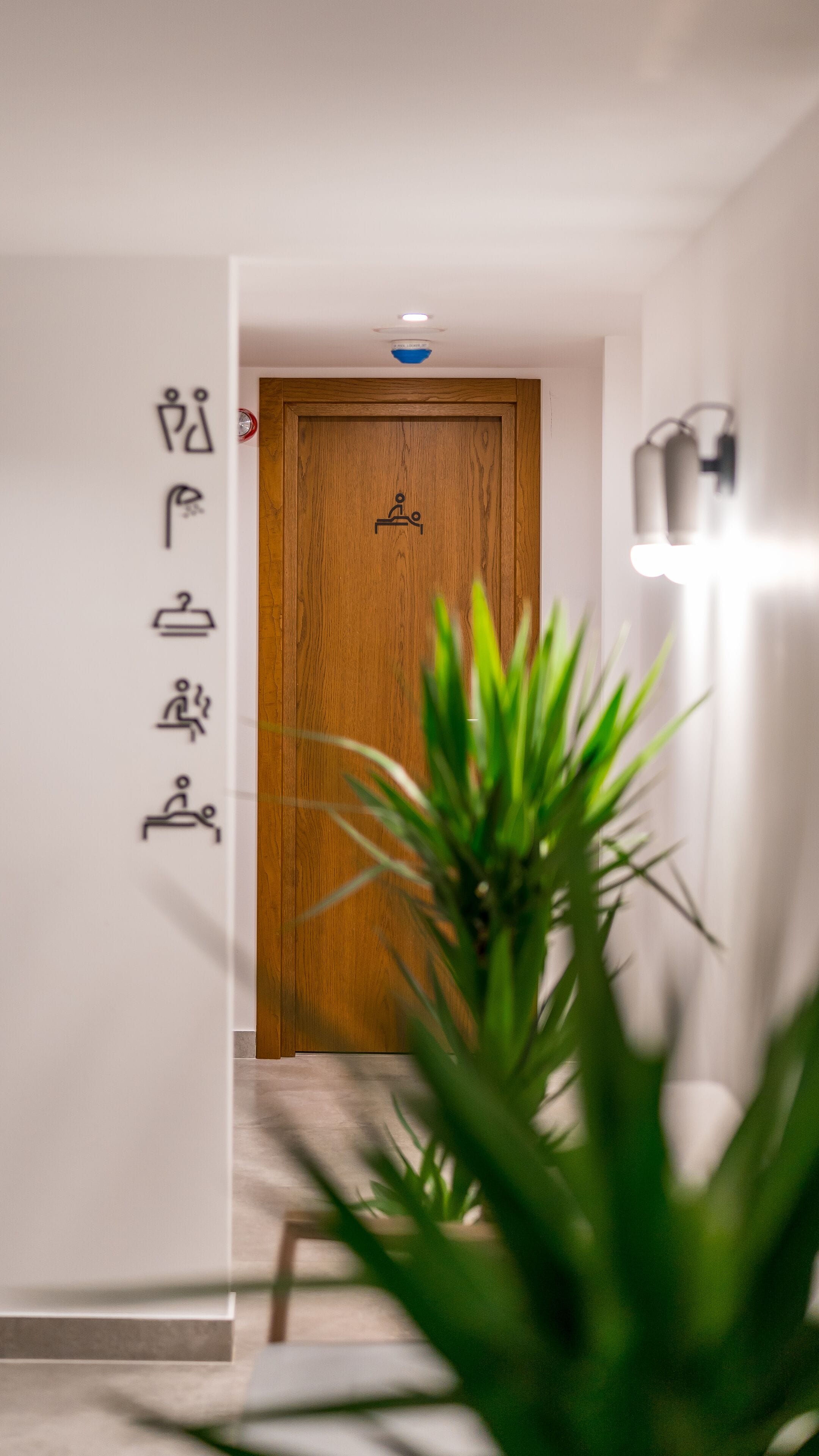 A hallway with a wooden door, a potted plant, and wall-mounted light fixtures.