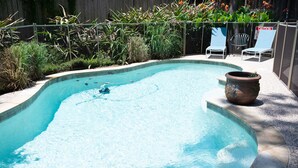 Una piscina con bordo curvo, circondata da una recinzione in legno e diverse piante. Si vedono due lettini e un cartello sullo sfondo.