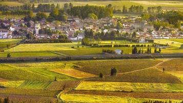 A rural landscape with fields, a village, and a prominent church.