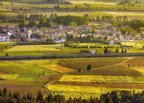 Paisaje rural con campos, un pueblo y una iglesia destacada.