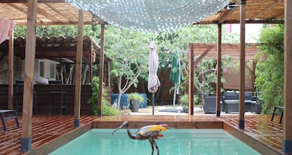 Les 2 Droles d'Oiseaux