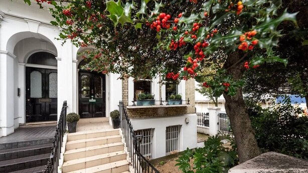A staircase leading to a white building with black doors, surrounded by greenery and a tree with red berries.