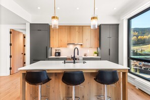 Fridge, microwave, oven, stovetop - New Luxurious Mountain Modern Snowmass Village Condo -Electric Pass Lodge 401 (Snowmass Village)