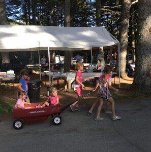 Property grounds - Riverfront RV site at Pinegrovecamp.com (Medway)