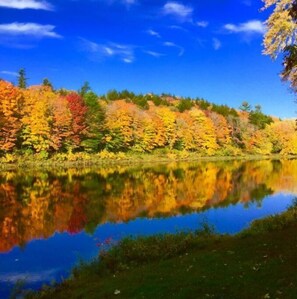 Property grounds - Riverfront RV site at Pinegrovecamp.com (Medway)