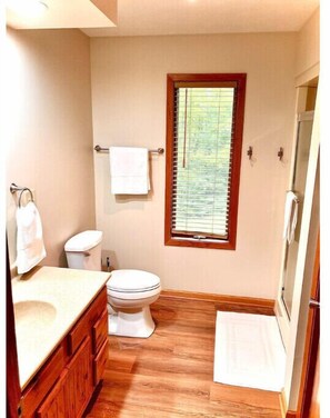 Shower, jetted tub, hair dryer, towels