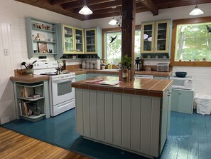 Fridge, oven, stovetop, dishwasher