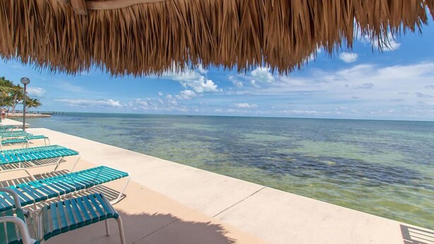 A beachside lounge with thatched roof, clear blue water, and lounge chairs. - Updated Unit with Beautiful Florida Bay Sunsets (Islamorada)