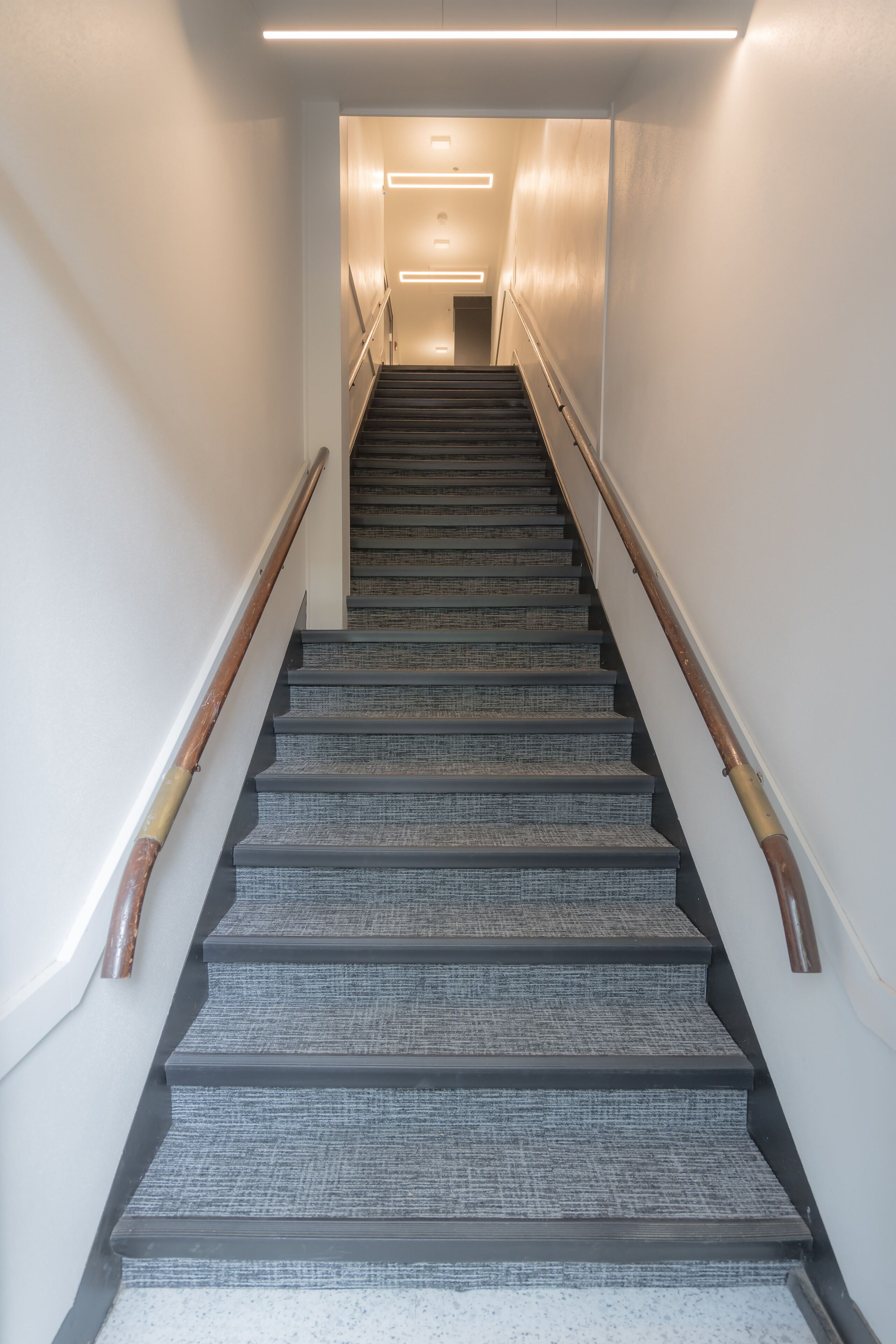 A staircase with a handrail, carpeted steps, and a light fixture at the top.