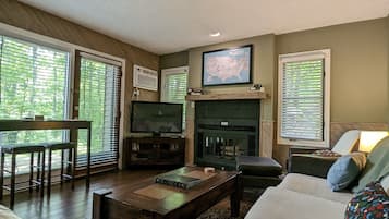 Smart TV, fireplace, DVD player, books