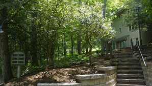 A stone staircase leading up to a building surrounded by dense greenery.