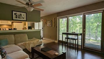 Smart TV, fireplace, DVD player, books