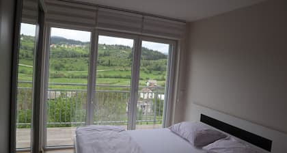 Enjoy nature and village life in a spacious modern villa.