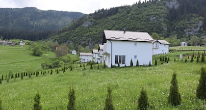 Enjoy nature and village life in a spacious modern villa.