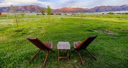 Glamping Nature Tent #3