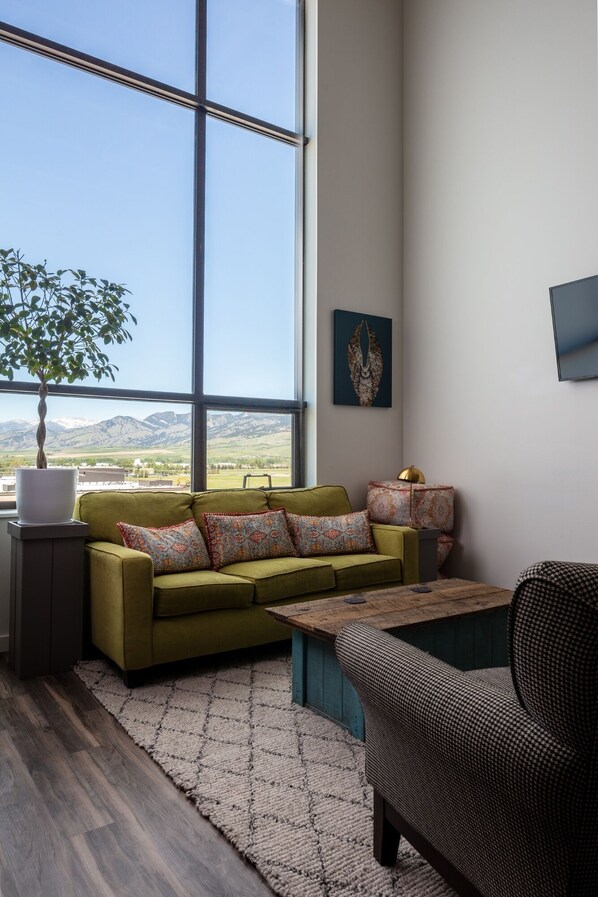 TV, music library, stereo