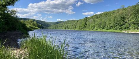 A river with a rocky shoreline and lush greenery.
