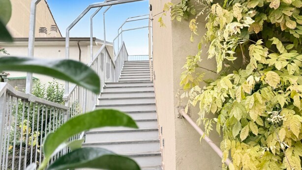 Eine Treppe führt zu einem Gebäude mit Metallgeländer, umgeben von Grünpflanzen.