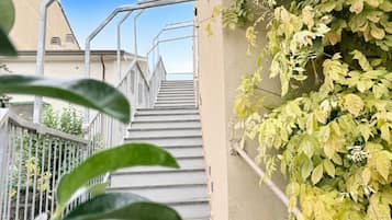 DĂ©tail de lâextĂ©rieur