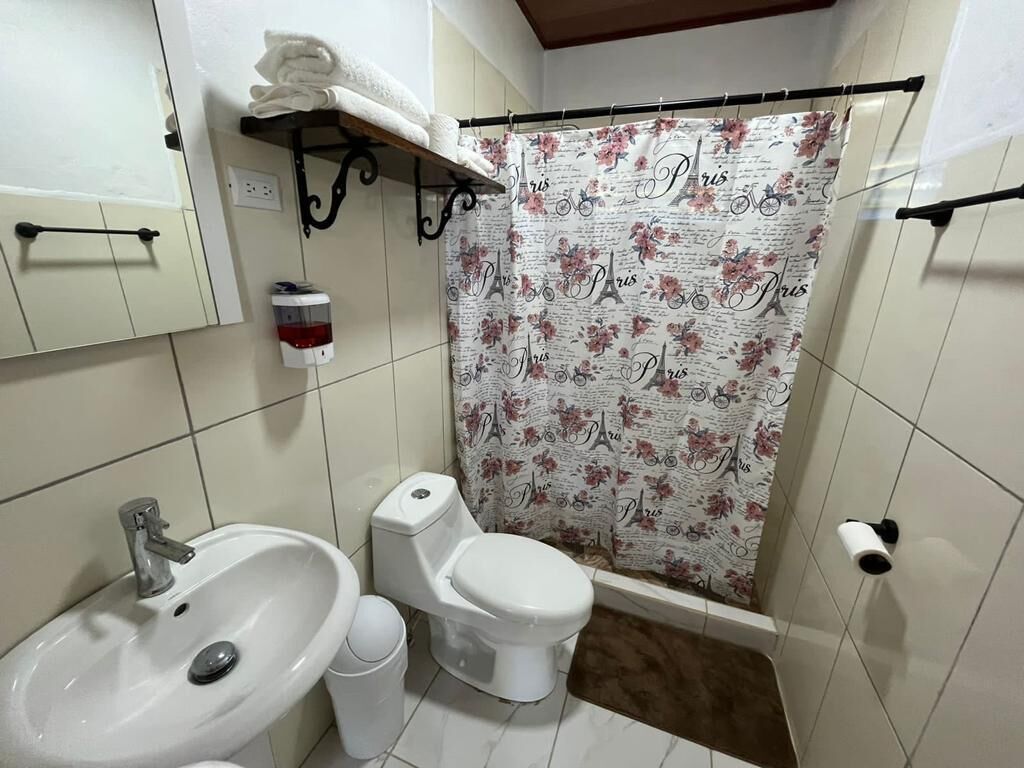 A bathroom with a toilet, sink, and shower curtain with a Paris theme.
