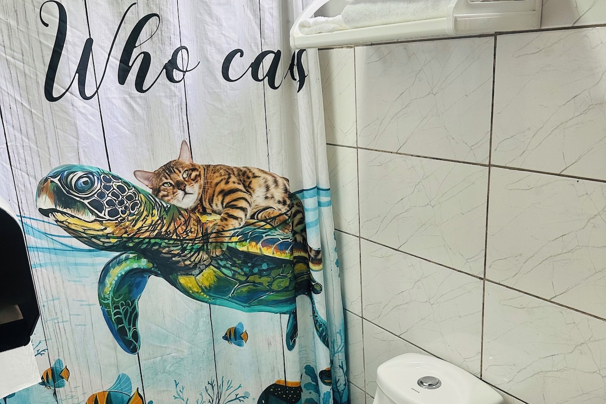 Basic Single Room | Bathroom