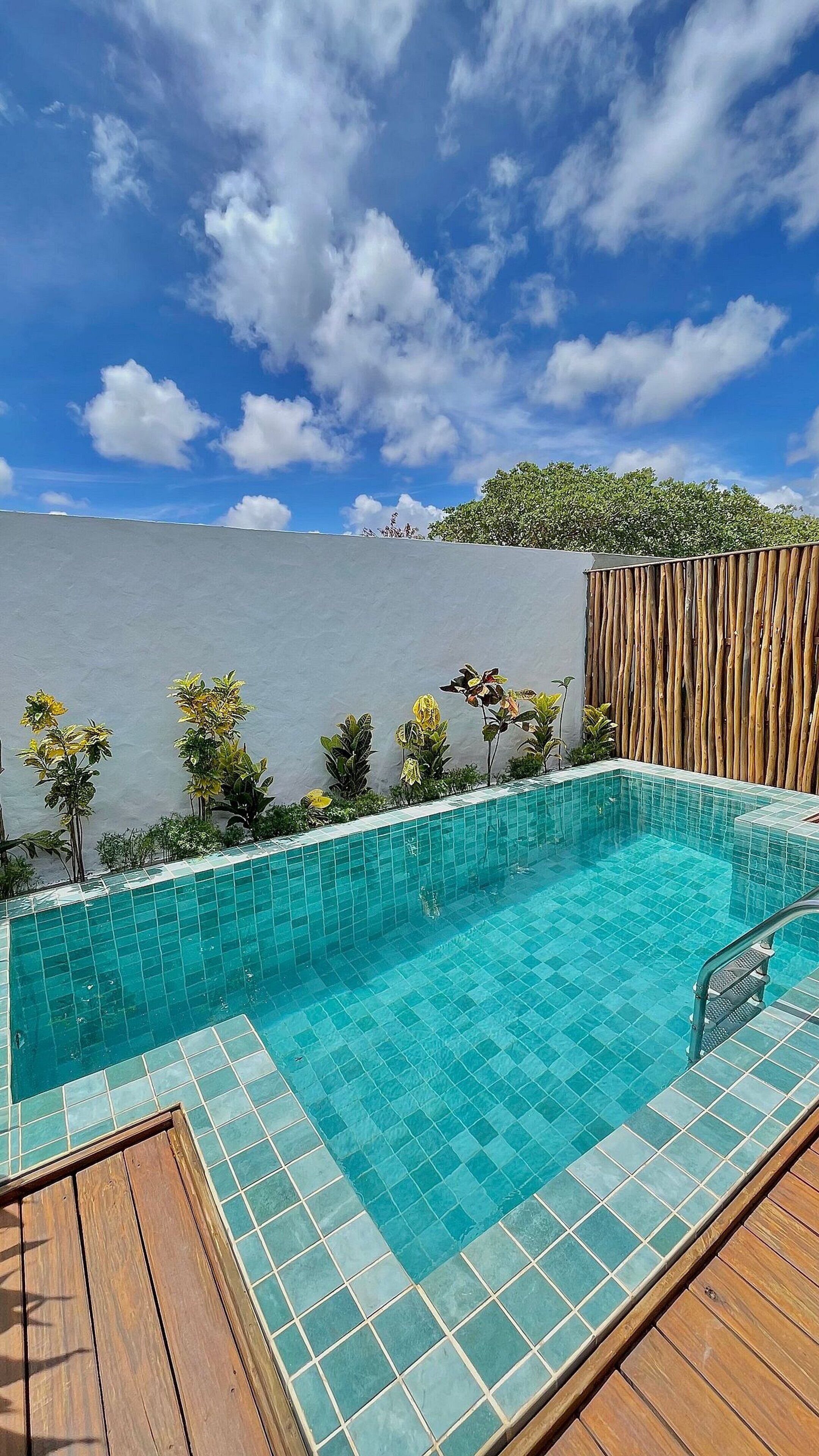 A rectangular swimming pool with blue tiles, surrounded by a wooden deck and a bamboo fence.