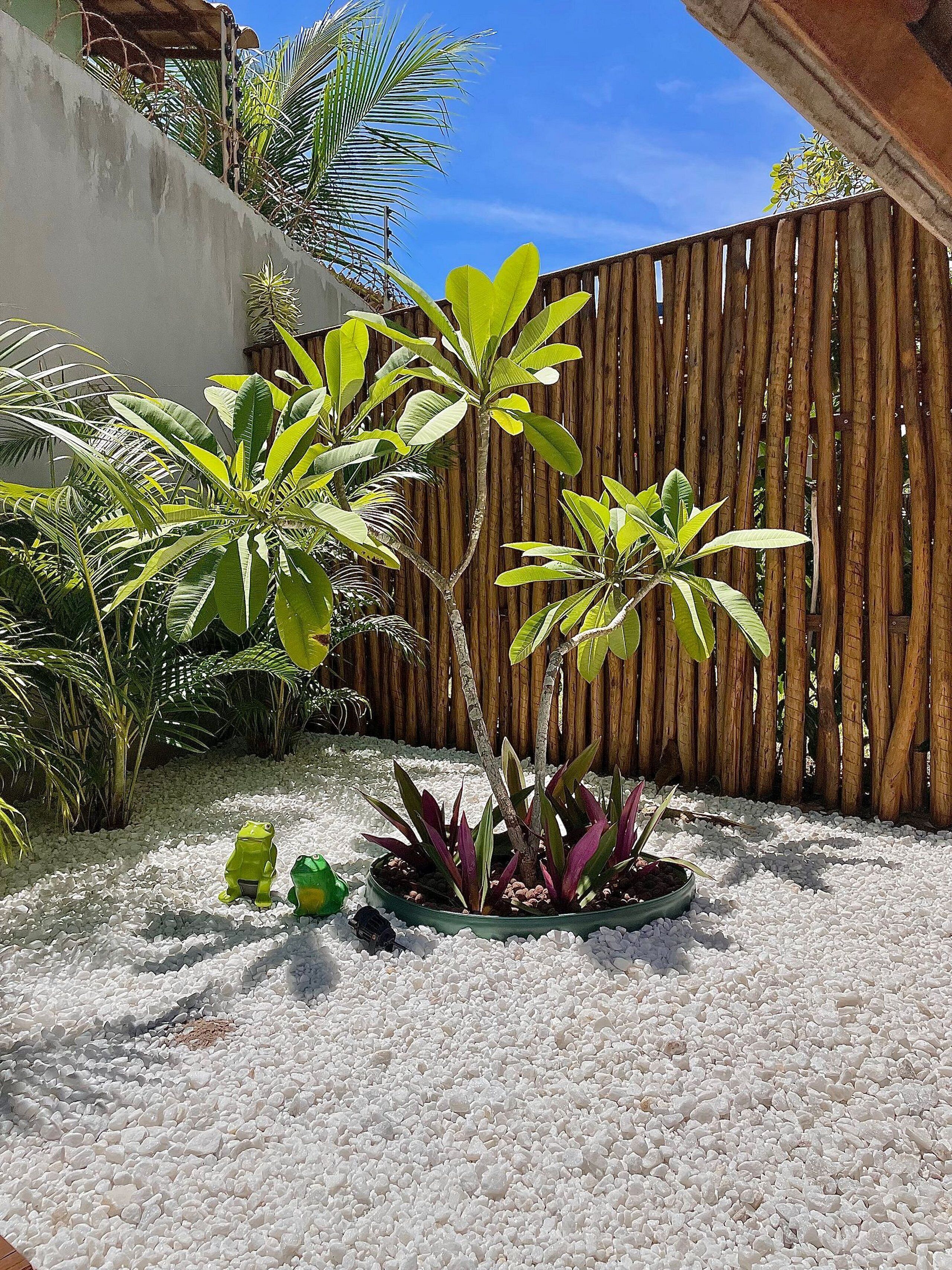 A garden with a variety of plants, a wooden fence, and a white gravel ground.