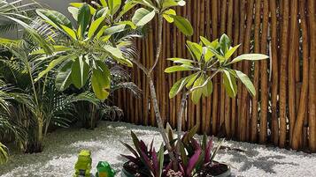 A garden with a variety of plants, a wooden fence, and a white gravel ground.