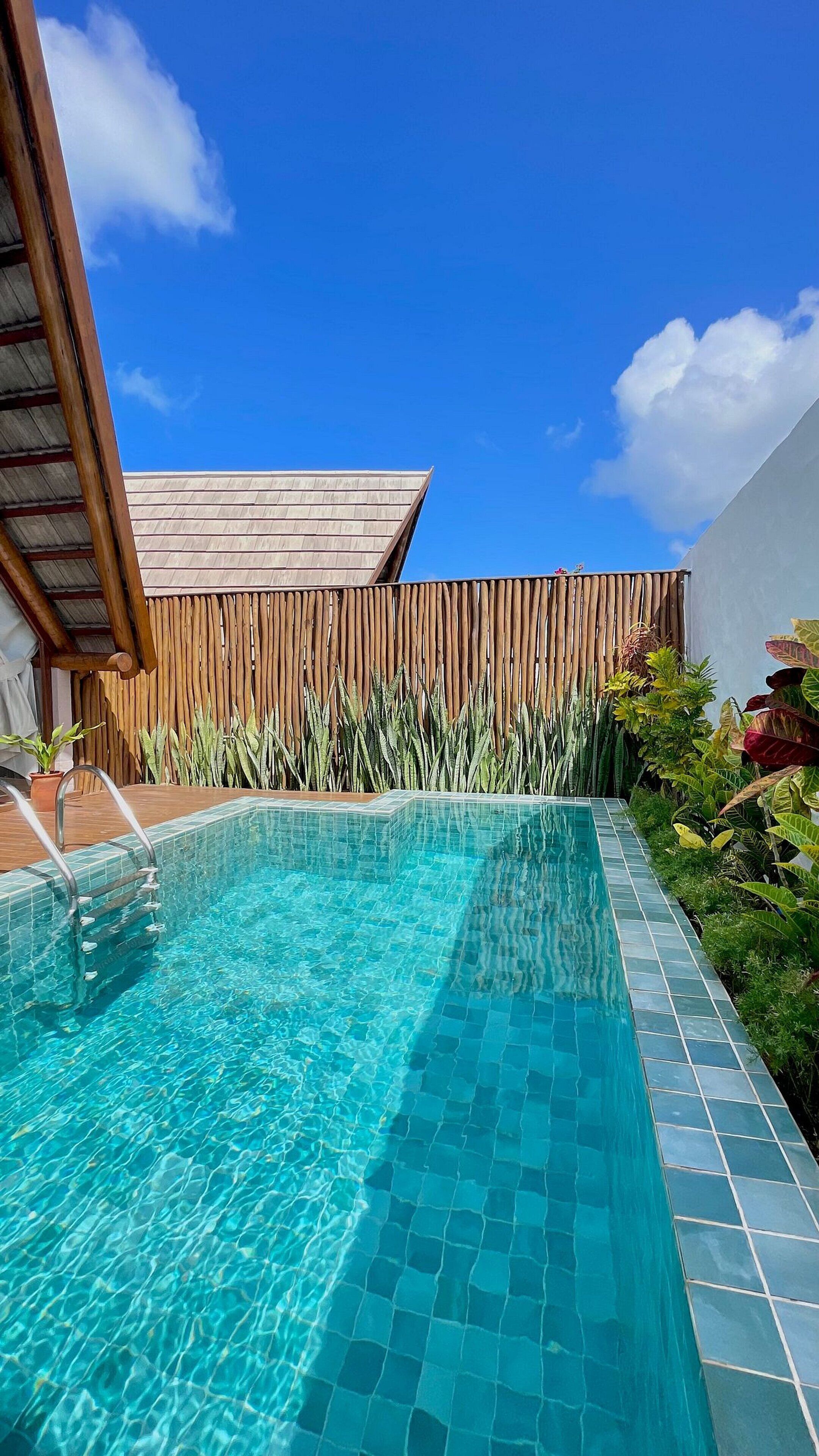 A clear blue swimming pool with tiled edges, surrounded by a wooden fence and various plants.
