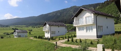 Esterni