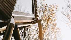 A wooden structure with a metal window frame and a view of bare trees. - K2 Kudhva Treehouse Cabin for 2 in Tintagel (Tintagel)