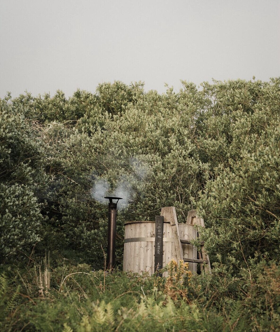A rustic wooden structure surrounded by dense foliage, with a chimney emitting smoke.