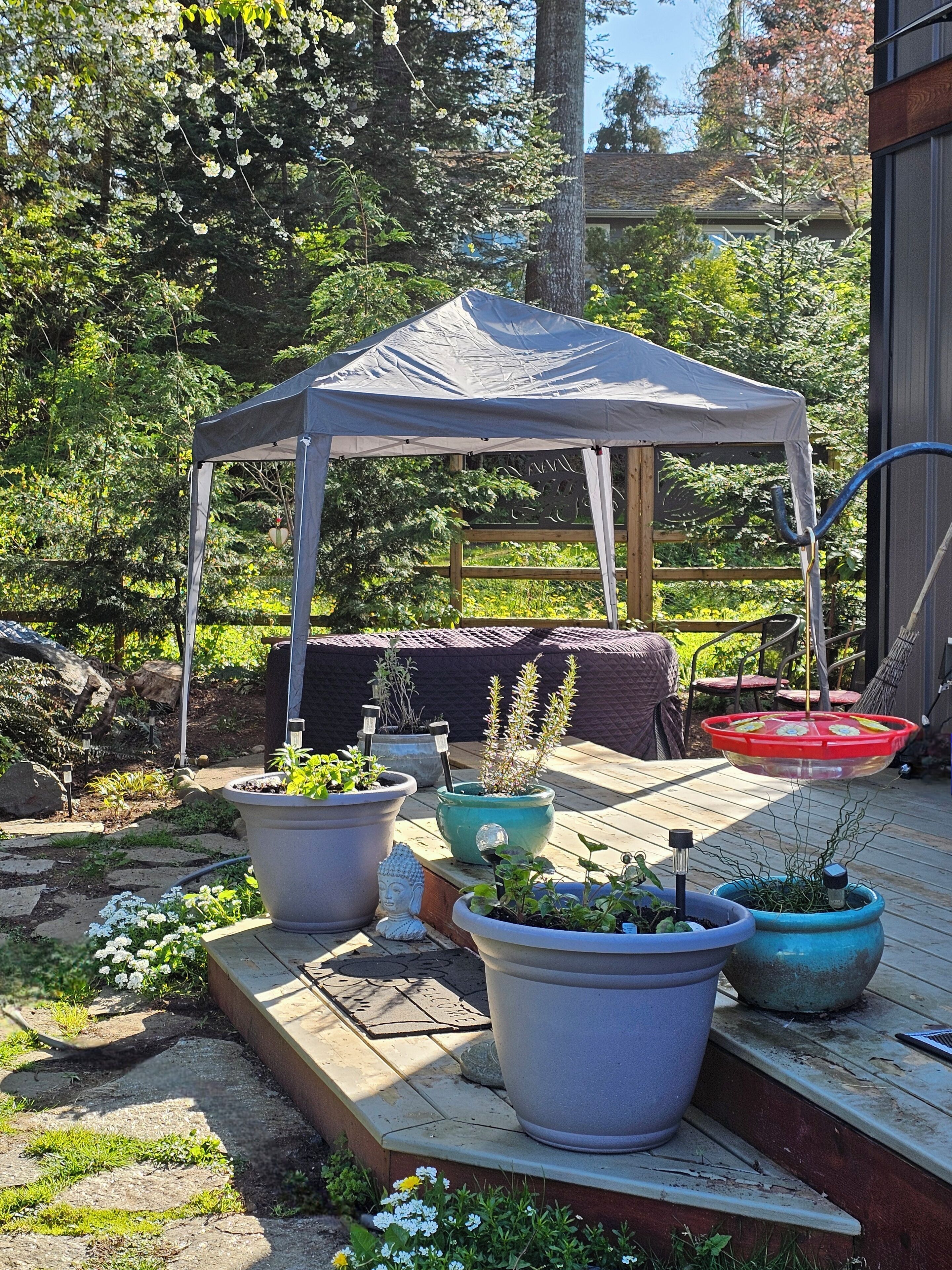 A covered patio area with potted plants and a wooden deck.
