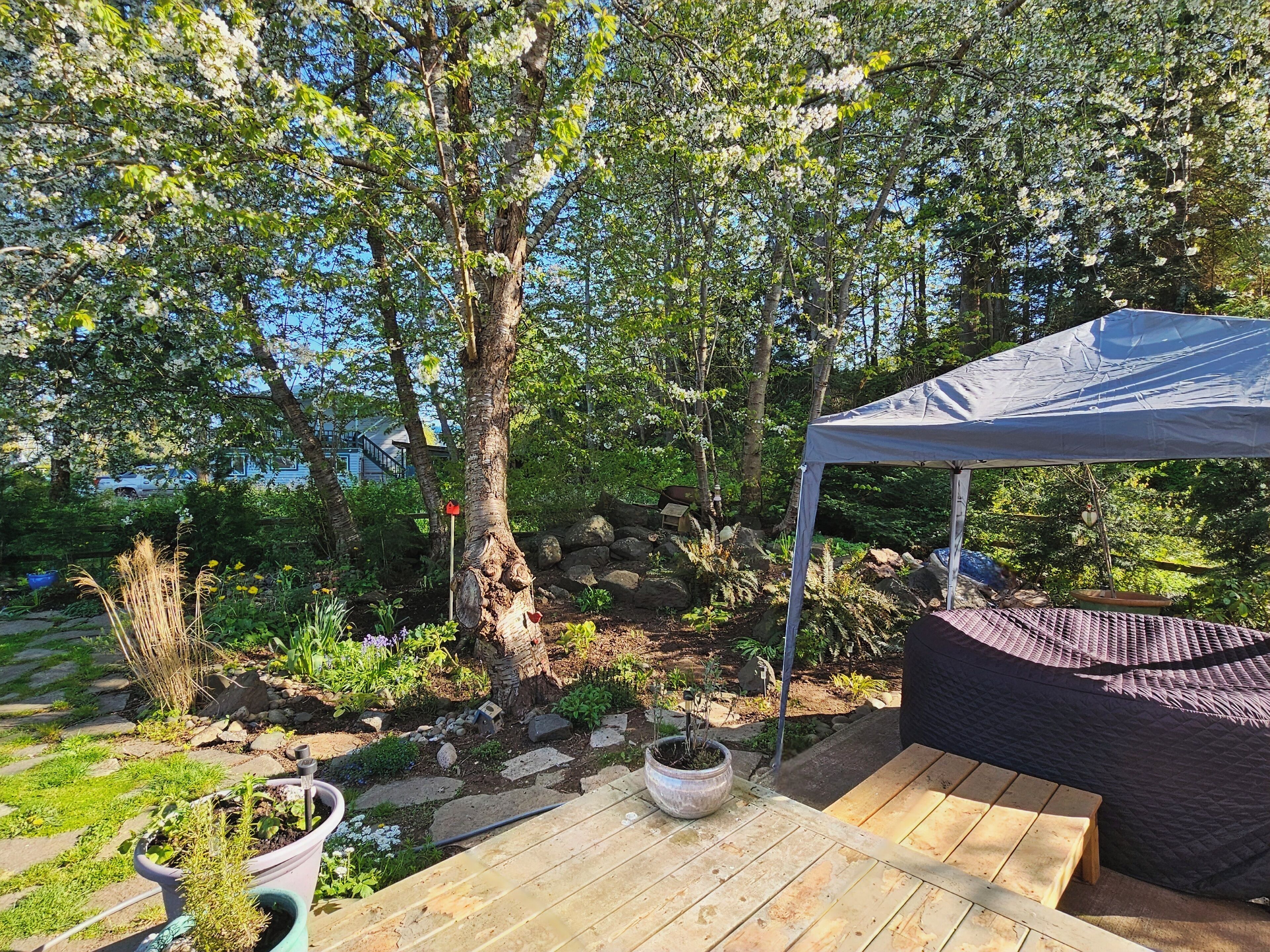 テラス / パティオ