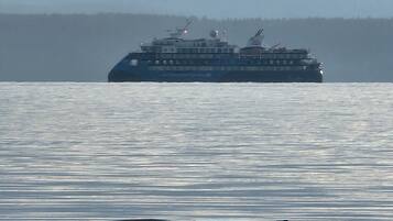 Un crucero navega sobre aguas tranquilas, con un ave en las aguas poco profundas cerca de la orilla.