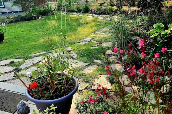 المنطقة المحيطة بالمنشأة