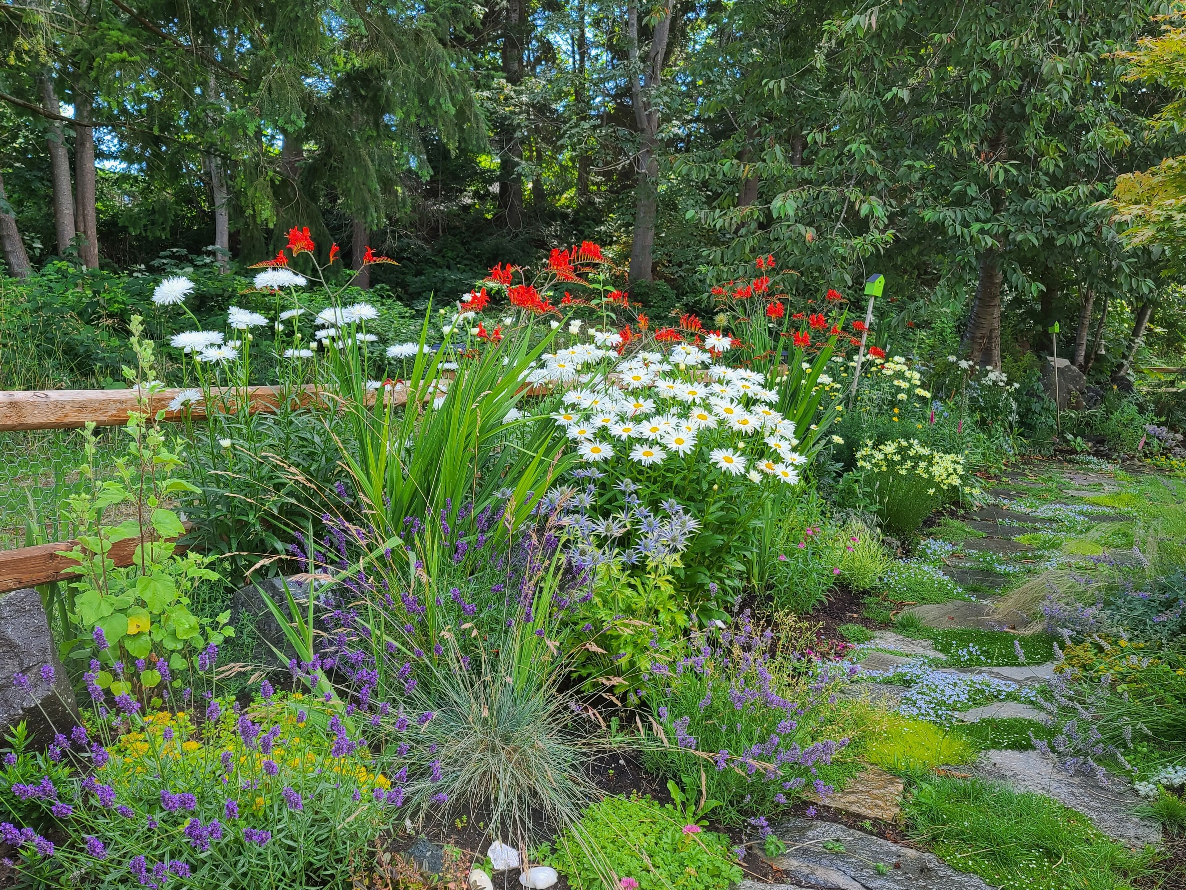 A garden with various flowers and plants, a wooden fence, and a stone pathway.