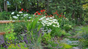 A garden with various flowers and plants, a wooden fence, and a stone pathway.