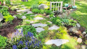 Un jardin avec un chemin de pierres, différentes plantes et un banc en bois.