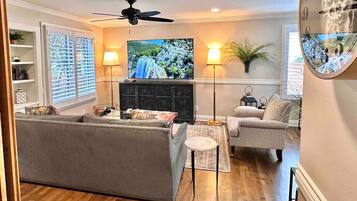 Smart TV, fireplace, books