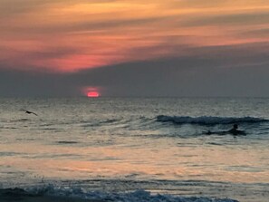 Playa en los alrededores