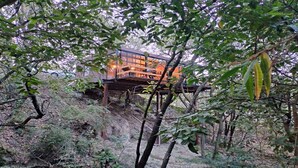 A modern wooden structure with glass walls, surrounded by dense forest. - Loft Tree House 1 by Kivoya (Zapopan)