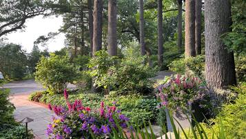 Áreas de la propiedad