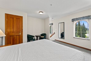 1 slaapkamer, een strijkplank/strijkijzer, wifi, beddengoed