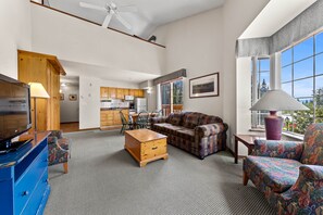 Televisión, chimenea, reproductor de DVD