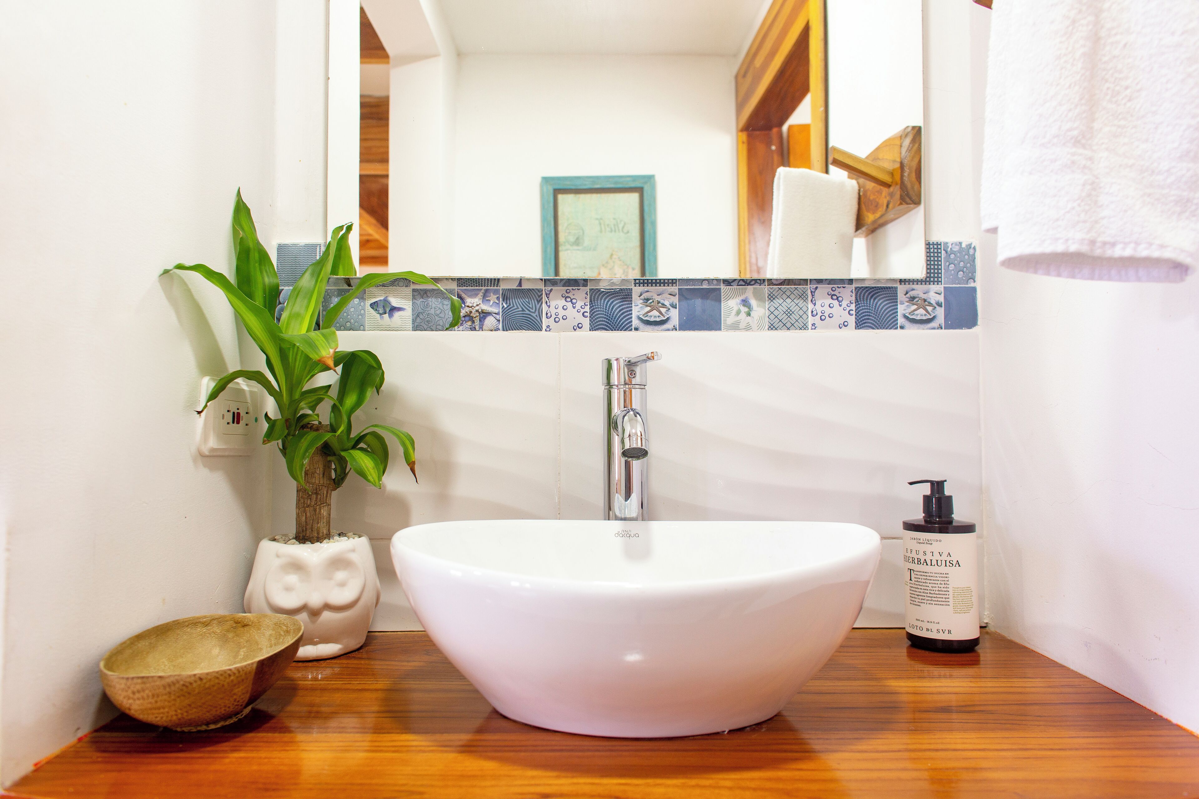 Photo - Hotel Isla del Sol