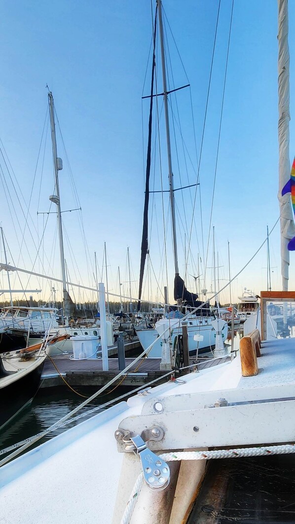 Marina