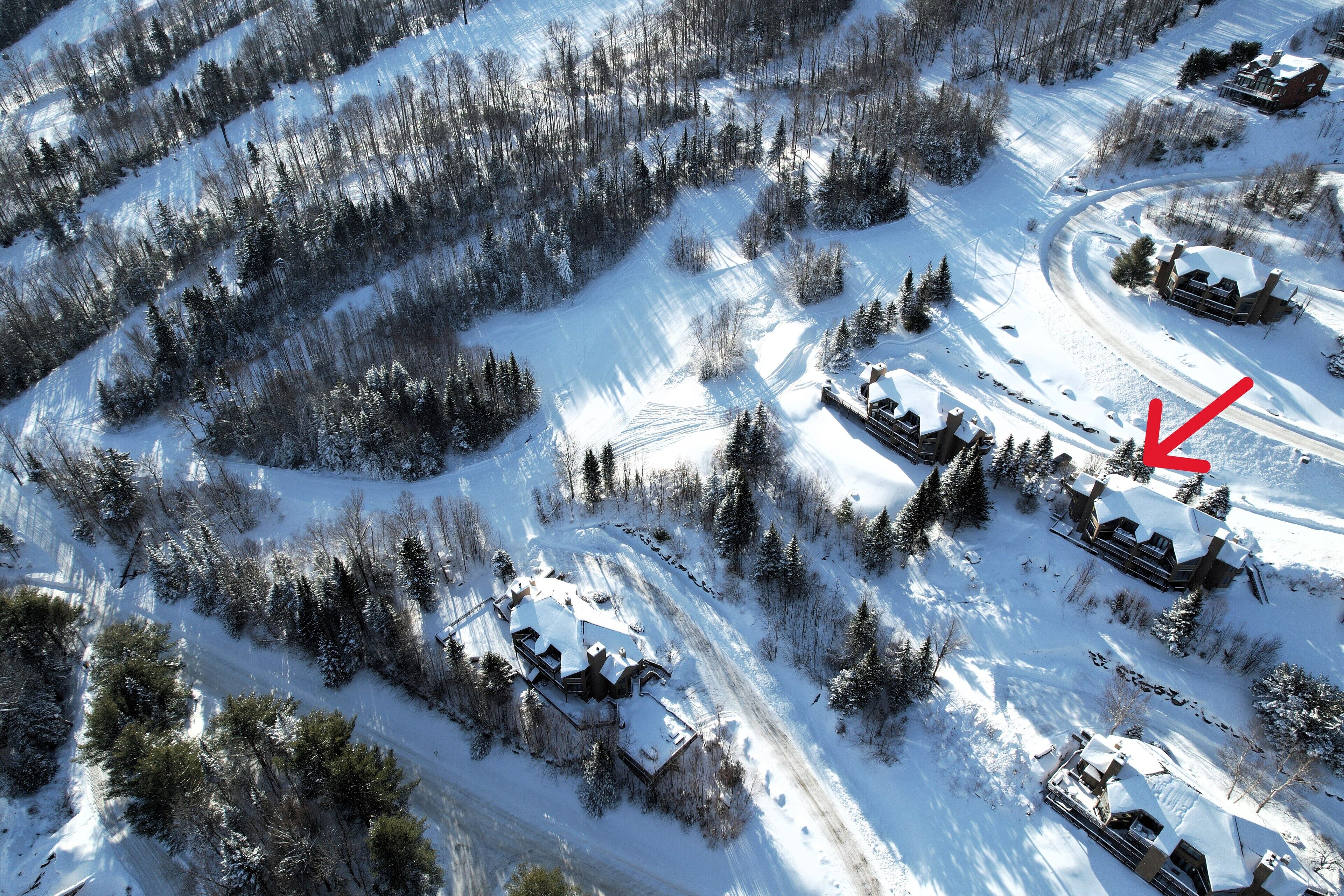 CR16 Ski-in/Out luxury home in Bretton Woods; Great Views. Pool/gym passes!