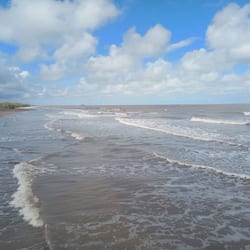 Private beach, free beach shuttle