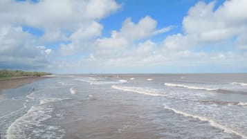 Playa privada, traslado desde/hacia la playa gratis